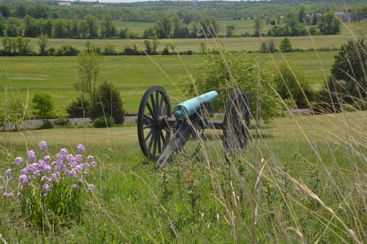 cannon